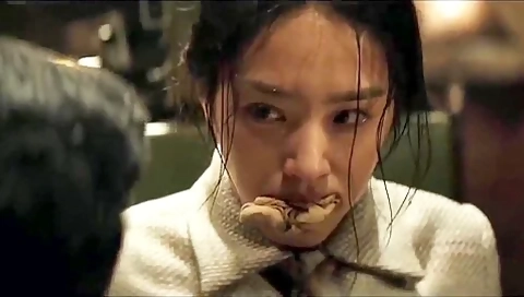 Yang Caiyu