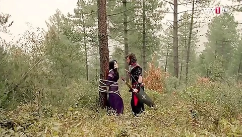 In The Forest