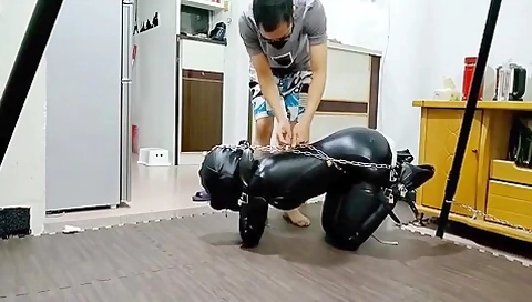Asian Leather Bound Petgirl