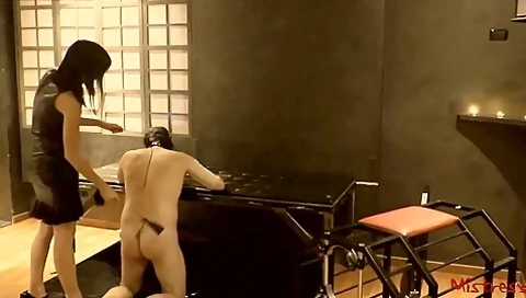 Femdom Whipping Her Sub In A Dungeon - Mistress Kym