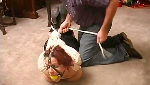 Head Harness