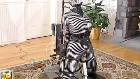Stripe Catsuit