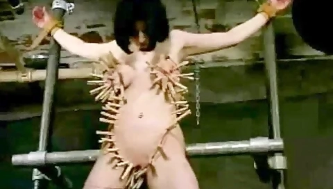 Insex - Zipper