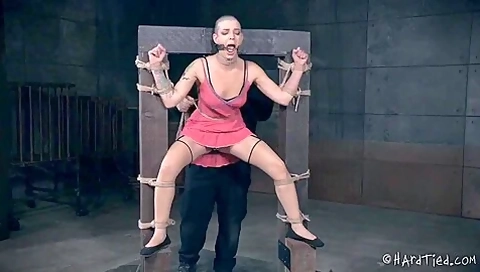 Torturing Abigail Dupree