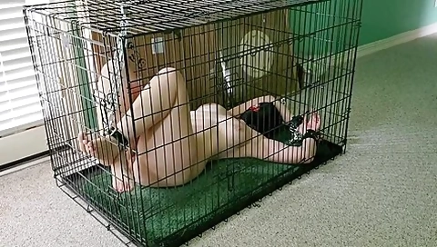 Chained In Cage