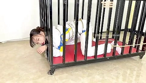 Chinese Bondage