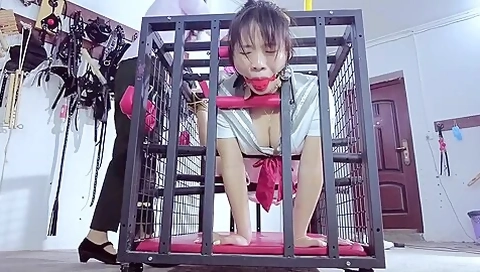 Chinese Bondage 1311