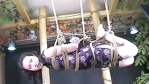 Chinese Hogtie Suspension