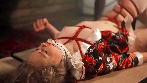 Sexy Shibari