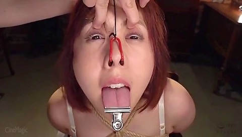 Japanese Bondage Pt490