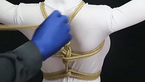 Bikini Harness