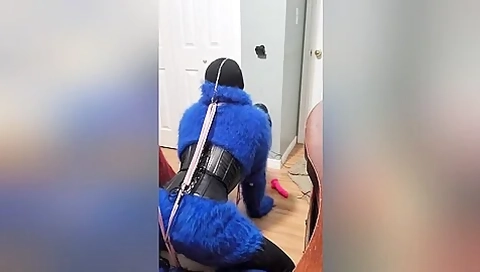 Sweatercub Video 3