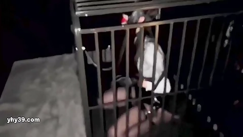 Cd Caged
