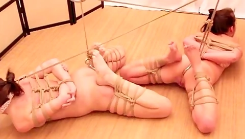 Hairties And Anal Hooks