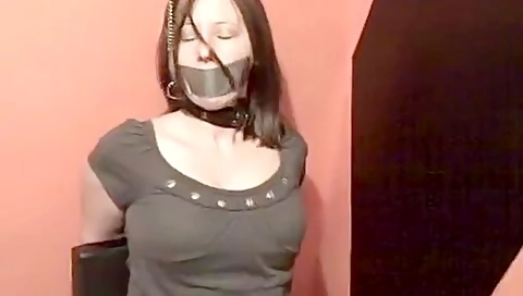 Collared To The Ceiling